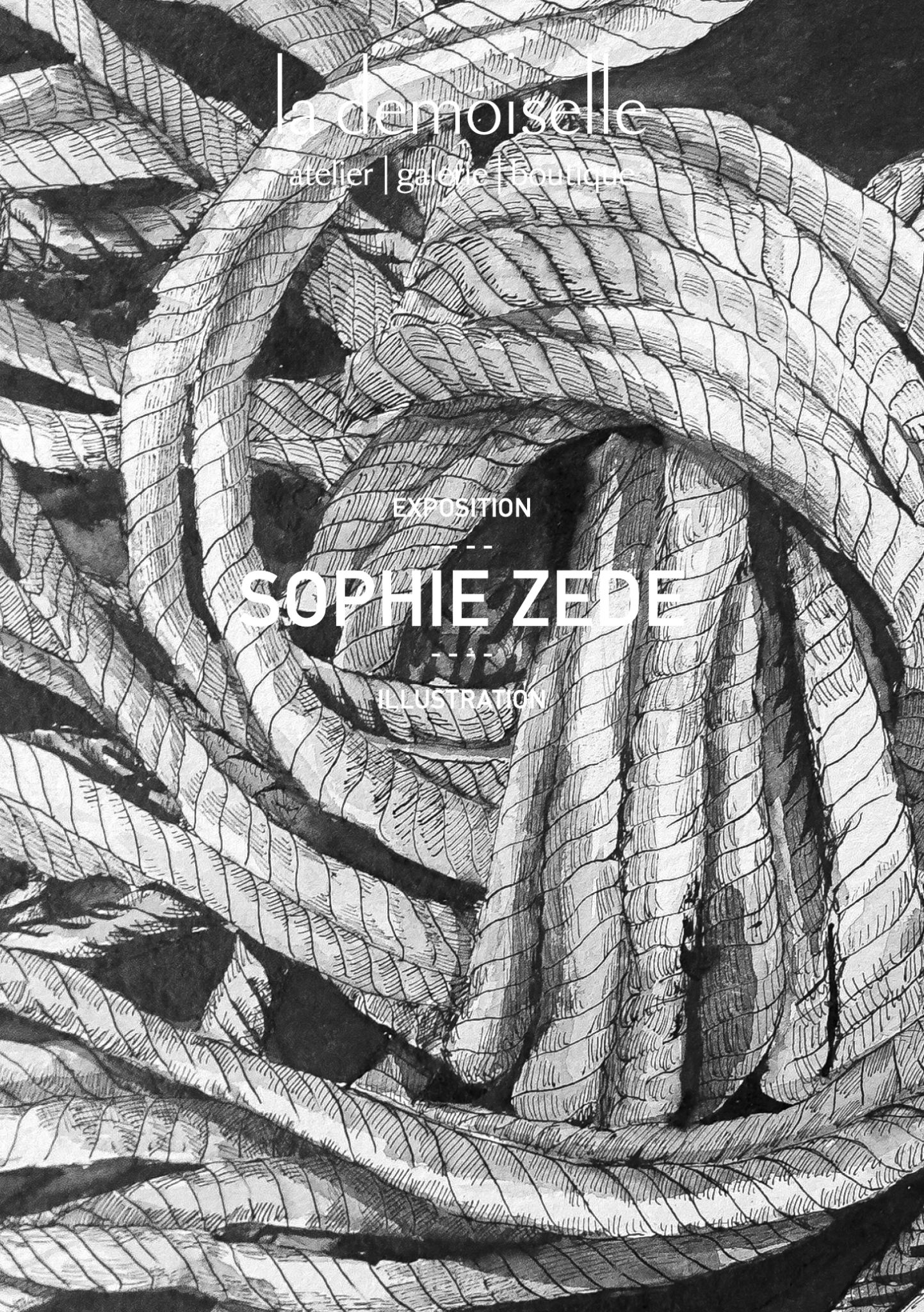 Sophie Zede Illustrations